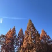 ガビンー