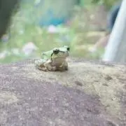 ココ♪