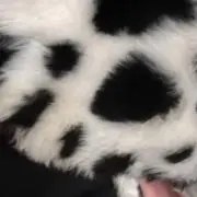 ゆうこの画像