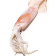 屋の画像