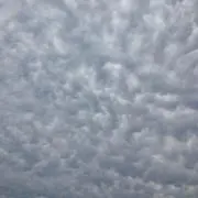 Tatsuの画像