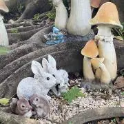 りいこの画像
