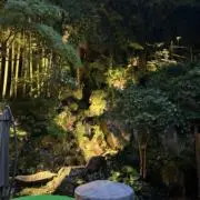 トマト太郎丸の画像