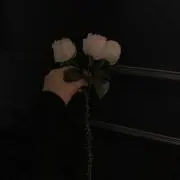 saの画像