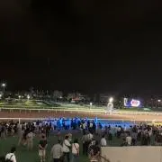 もんぺる