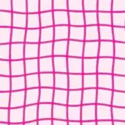 なぁちゃんの画像