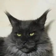 ラピスラズリ