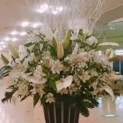 ハラン