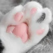 のんたんの画像