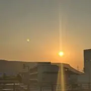 COCOの画像