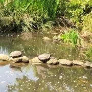 色鉛筆