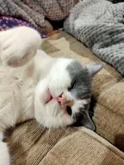 fearfulYの画像
