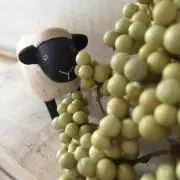 rafaの画像