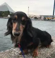きさき