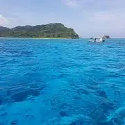 ふかちゃんこの画像