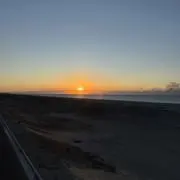 Mの画像
