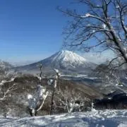 masa88の画像
