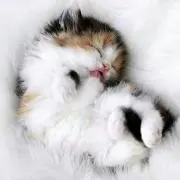 ♪ひとみん♪(プロフ必ず見てね)