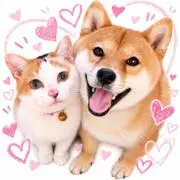 デイジーちゃんの画像