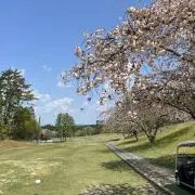 Mの画像