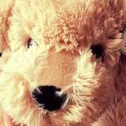 みっ子/おまとめ値引きは10%までの画像