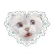 にんの画像
