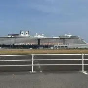 コロコロの画像