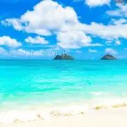 kailuaの画像