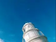 ちびの画像