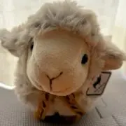 メイの画像