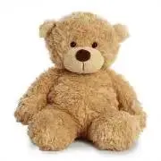 Bear( ¨̮ )の画像