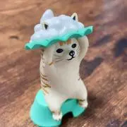garyの画像