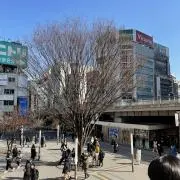 ふぃっと