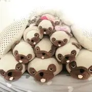 aya