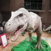 デバコの画像