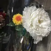 ビビアンアリスの画像