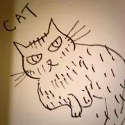 たーさんの画像