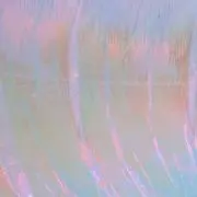 ゆの画像