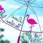 あむ