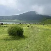 chanの画像
