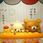 ぽんぽこの画像