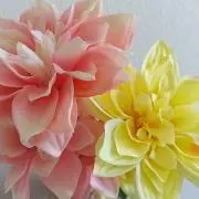 ゆんたん・プロフ必読願いますの画像