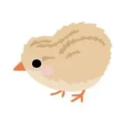 うずらの画像
