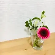ルカの画像