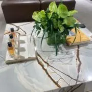 moyuの画像