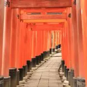 りんりん