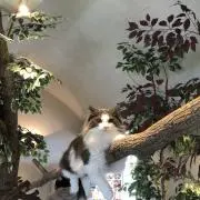 yukiの画像