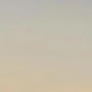 あにの画像