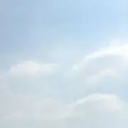 お【プロフ必読】の画像