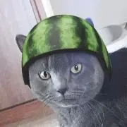よっしーの画像